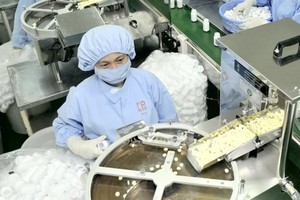 平抑物價藥品的生產線。