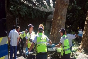 葡萄牙馬德拉群島巨樹倒塌導致的12人遇難，50人受傷。（圖源：互聯網）