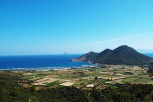 （圖源：互聯網）