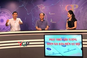 （資料圖源：VGP）