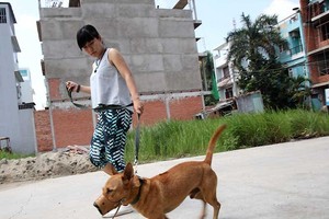 自9月15日起，寵物狗儘管有人牽引，若沒有戴嘴套的 話，飼主仍然被罰款。