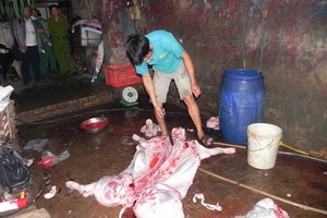 自行屠豬出售是否違法？（示意圖源：互聯網）