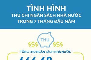 根據財政部的數據顯示，累計至7月底，國家財政預算總收入約達666萬6800億元，達到計劃的55％，同比增11.6％。（圖源：NDH）