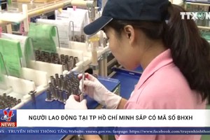 本市勞動者將有社保號碼。（圖源：越通社視頻截圖）