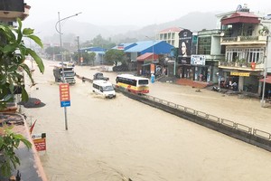 圖為錦譜市光亨坊路段的第6公里處遭受嚴重水淹。（圖源：阮光）