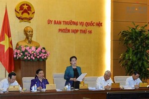 ​國會主席阮氏金銀在會議上發表講話。（圖源：Quochoi.vn）