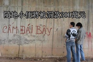 （示意圖源：互聯網）