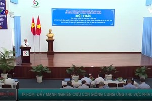 市委書記阮善仁在研討會上發表講話。（圖源：VTV9）