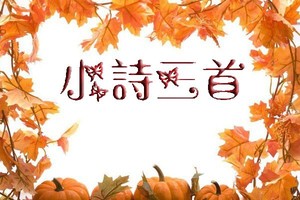 （示意圖源：互聯網）