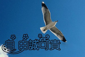 （示意圖源：互聯網）