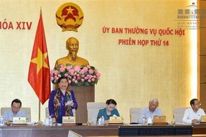 國會副主席從氏放在會議上發表講話。（圖源：Quochoi.vn）