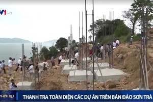 全面監察山茶半島上各投資項目。（圖源：VTV視頻截圖）