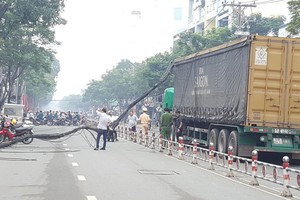 集裝箱車拉倒電纜與電柱的現場。（圖源：曉東）