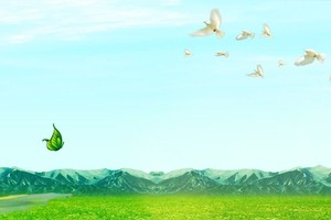 （示意圖源：互聯網）