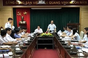 政府總監察署昨(26)日上午在衛生部公佈了對越南Pharma股份公司藥品進口一事展開監察事宜。（圖源：越通社）