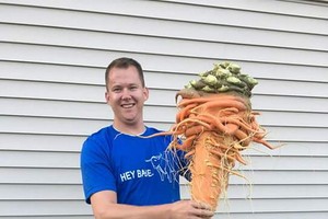 （資料圖源：互聯網）