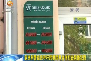 歐洲刑警組織籲跨境跨界合作打擊網絡犯罪。（圖源：網絡視頻截圖）