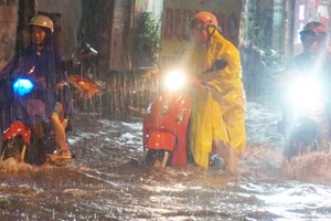 （資料圖源：互聯網）