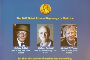 瑞典卡羅琳醫學院2日宣佈，將2017年諾貝爾生理學或醫學獎授予三名美國科學家傑弗裏·霍爾、邁克爾·羅斯巴什和邁克爾·揚，以表彰他們在研究生物鐘運行的分子機制方面的成就。 （圖源：新華網）
