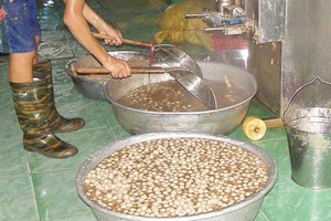 違反食品安全的單位將受嚴懲。