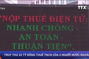 市稅務局長陳玉心表示，稅務機關已向兩名外籍人追收與處罰320億元人所得稅。。（資料圖源：越通社視頻截圖）