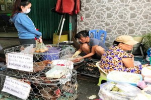 市面還有很多商販非法屠宰家禽。