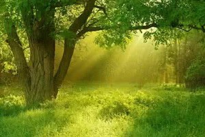 （示意圖源：互聯網）