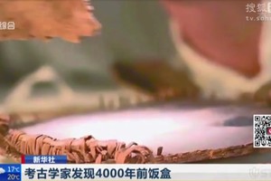 （資料圖源：網絡視頻截圖）