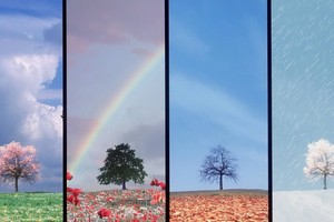 養生跟着季節走，順應季節的變化而調整飲食起居、衣食住行。（示意圖源：互聯網）