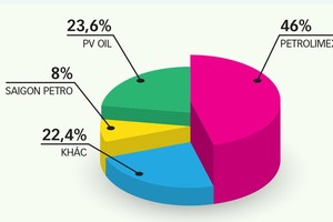 燃油市場份額比例圖表。