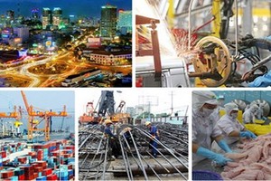 越南向世界肯定經濟穩定與成功。（示意圖源：互聯網）