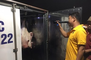 職能力量檢查運抵集散市場的豬肉。