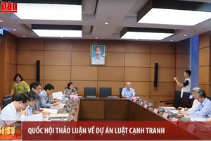 國會代表分組討論並對隆城國際航空港土地回收、補償、輔助、安置項目可行性研究報告及對《競爭法》草案(修訂)進行討論和提意見。（圖源：人民報網視頻截圖）