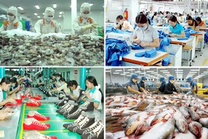 掌握美國市場標準，促進出口活動。（示意圖源：互聯網）