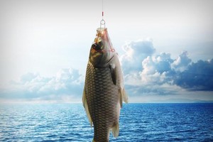 這款作品獲得了2017年度的紅點設計獎。（圖源：互聯網）