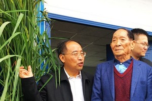 “雜交水稻之父”袁隆平（右）。（圖源：互聯網）
