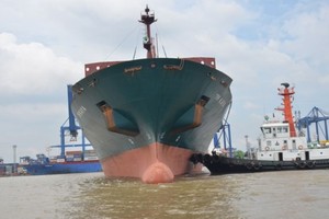 （資料圖源：互聯網）