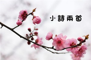 （示意圖源：互聯網）