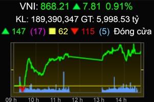 越南股市創新高，突破868點。（圖源：互聯網）