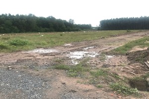 阿里巴巴房地產股份公司推介位於隆城縣的項目其實只是一片荒地。