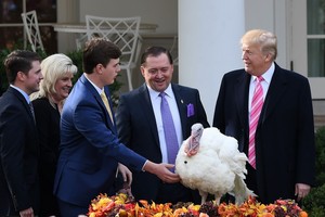 美總統特朗普（右一）參加火雞“赦免”儀式。（圖源：互聯網）