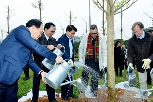 河內人委會領導與芬蘭駐越南大使及各國駐越南大使館代表參加植樹活動。（圖源：英貴）