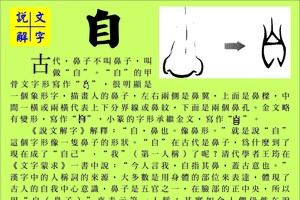 說文解字 『自』