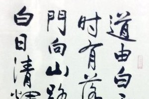 何麗華 書