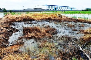 特別檢查 28 個單位環保工作。（示意圖源：越通社）