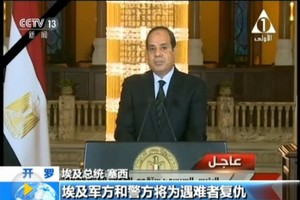 埃及軍警全國搜捕恐怖嫌疑人。（圖源：CCTV視頻截圖）