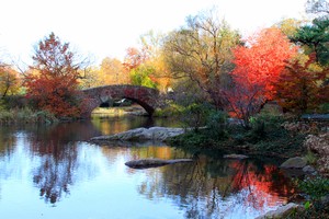 （示意圖源：互聯網）