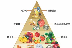 金字塔科學食譜。