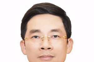 政府總理助理阮維興出任政府辦公廳副主任職務。（圖源：Chinhphu.vn）