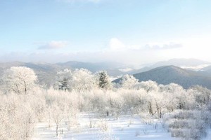 中國吉林，北大壺滑雪場1200米的最高峰出現了迷人高山霧淞美景。（圖源：互聯網）